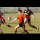 image 35 of 81